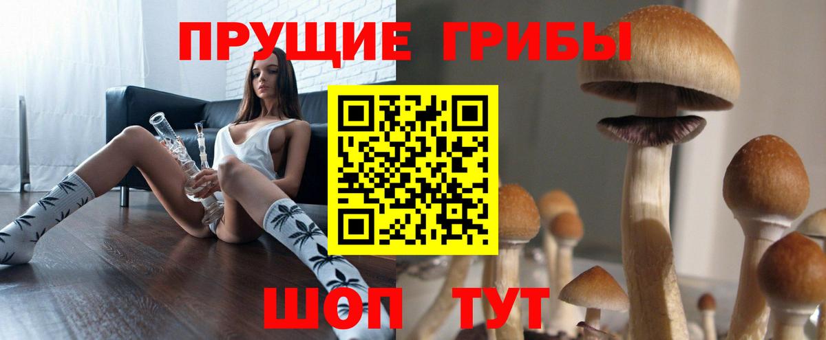 Псилоцибиновые грибы Magic Shrooms Сарапул
